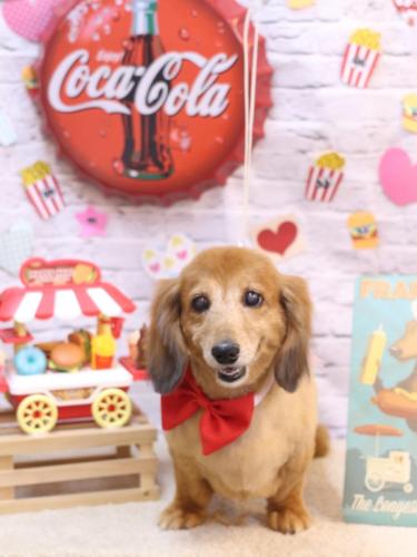 20230913ティアラくん